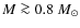 $M \ga0.8~M_\odot$