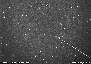 \begin{figure}
\par\includegraphics[width=8cm,height=5.7cm]{0839fig1.eps}
\end{figure}