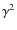 $\gamma^{2}$