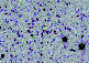 \begin{figure}
\par\includegraphics[width=7cm,clip]{1255fig1.eps}
\end{figure}