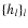 $\{h_l\}_l$