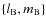$\left\{l_{\rm B},m_{\rm B}\right\}$
