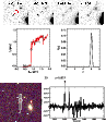 \begin{figure}
\hspace*{3mm}\includegraphics[width=8cm]{1366fig4a.eps}\hspace*{3...
....3cm]{1366fig4c.eps}\includegraphics[width=5.3cm]{1366fig4d.eps} }\end{figure}