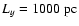 $L_y=1000 ~\mbox{pc}$