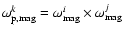 $\omega_{\rm p,mag}^{k}=\omega_{\rm mag}^{i} \times \omega_{\rm mag}^{j}$