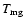 $T_{\rm mg}$