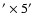 $^{\prime} \times 5^{\prime}$