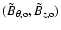 $( \tilde{B}_{\theta, {\rm o}} , \tilde{B}_{z, {\rm o}} )$