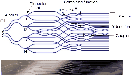 \begin{figure}
\par\includegraphics[width=11.5cm,clip]{1083fig1.ps}\par\includegraphics[angle=180,width=10.9cm,clip]{1083fig2.ps}
\end{figure}