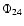 $\Phi_{24}$