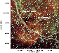 \begin{figure}
\par\includegraphics[width=8.5cm]{1292fig2.ps}
\end{figure}