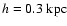 $h=0.3~\rm kpc$