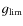 $g_{\rm lim}$