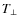 $T_{\bot}$
