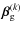 $\vec{\beta}^{(k)}_{\rm g}$