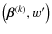 $\big(\vec{\beta}^{(k)},w'\big)$