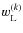 $w^{(k)}_{{\rm L}}$