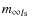 ${m_{\infty }}_{l{\rm s}}$
