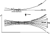 \begin{figure}
\par\includegraphics[width=8.8cm,clip]{509fig02.eps}
\end{figure}