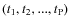 $(t_1,t_2,...,t_{\rm P})$