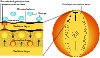 \begin{figure}
\par\resizebox{8.8cm}{!}{\includegraphics{1643fig6.eps}}
\end{figure}