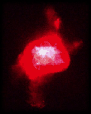 \begin{figure}
\par\includegraphics[width=8cm,clip]{n6210a_hst1.eps} %
\end{figure}