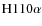 $\rm H110\alpha$