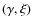 $(\gamma ,\xi )$