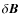 $\delta {\vec B}$
