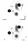 \begin{figure}
\par\includegraphics[width=8.5cm,clip]{1387fig24.eps}\par\includegraphics[width=8.5cm,clip]{1387fig25.eps}
\end{figure}