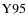 $\rm {Y95}$