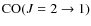 ${\rm CO}(J=2\rightarrow1)$