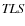 ${\it TLS}$