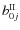$b^{\rm II}_{0j}$