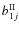 $b^{\rm II}_{1j}$