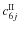 $c^{\rm II}_{6j}$
