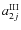 $a^{\rm III}_{2j}$