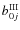$b^{\rm III}_{0j}$