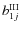 $b^{\rm III}_{1j}$