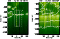 \begin{figure}
\par\includegraphics[width=4.0cm]{ban12059_f1a.eps}\includegraphics[width=4.0cm]{ban12059_f1b.eps}
\end{figure}