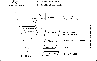\begin{figure}
\par\includegraphics[width=8.5cm,clip]{1351fg05.eps}
\end{figure}