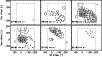 \begin{figure}
\par\includegraphics[width=9cm,clip]{1389fig8.eps}
\end{figure}