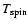 $T_{\rm spin}$