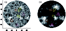 \begin{figure}
\par\includegraphics[width=11.5cm,clip]{1223_f4.eps}
\end{figure}