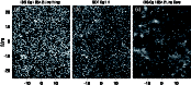 \begin{figure}
\par\includegraphics[width=15.4cm,clip]{1223_f7.eps}
\end{figure}