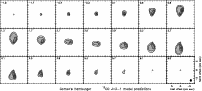 \begin{figure}
\rotatebox{270}{\resizebox{8cm}{!}{
\includegraphics{1233fig6.eps}
}}
\end{figure}