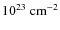 $10^{23}~{\rm cm}^{-2}$