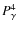 $P_{\gamma}^4$