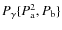 $P_{\gamma} \{P_{\rm a}^2, P_{\rm b}\}$