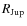 $R_{\rm Jup}$